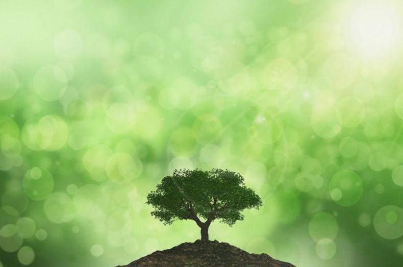 Join an eco-friendly project