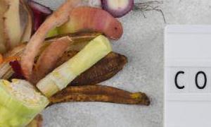 Composting