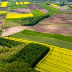 Rolnictwo regeneracyjne: ochrona i odbudowa ekosystemów