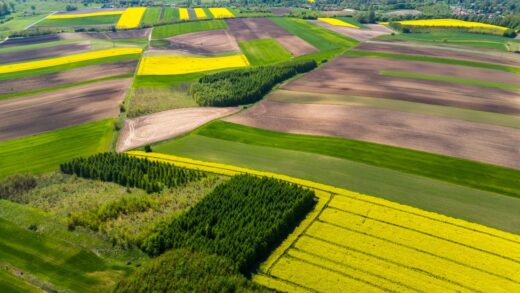 Rolnictwo regeneracyjne: ochrona i odbudowa ekosystemów