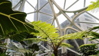 Biophilic design: integracja natury w architekturze