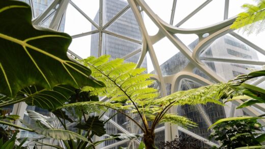 Biophilic design: integracja natury w architekturze