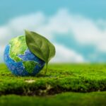 Codzienne działania na rzecz klimatu