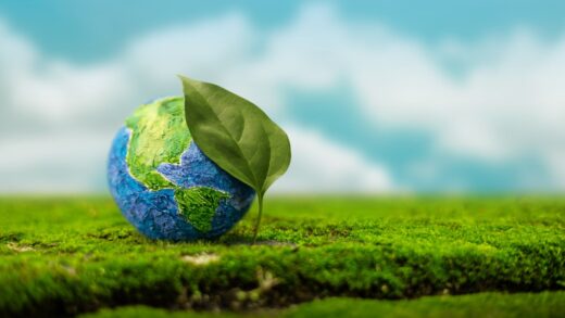 Codzienne działania na rzecz klimatu