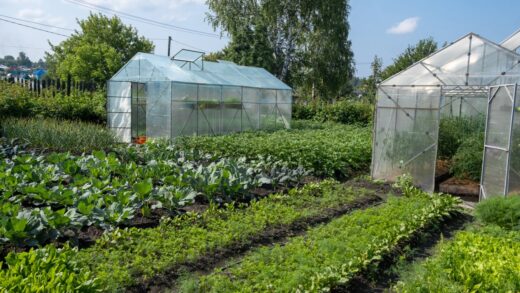 Agroekologia w ogrodzie: zrównoważone podejście do upraw